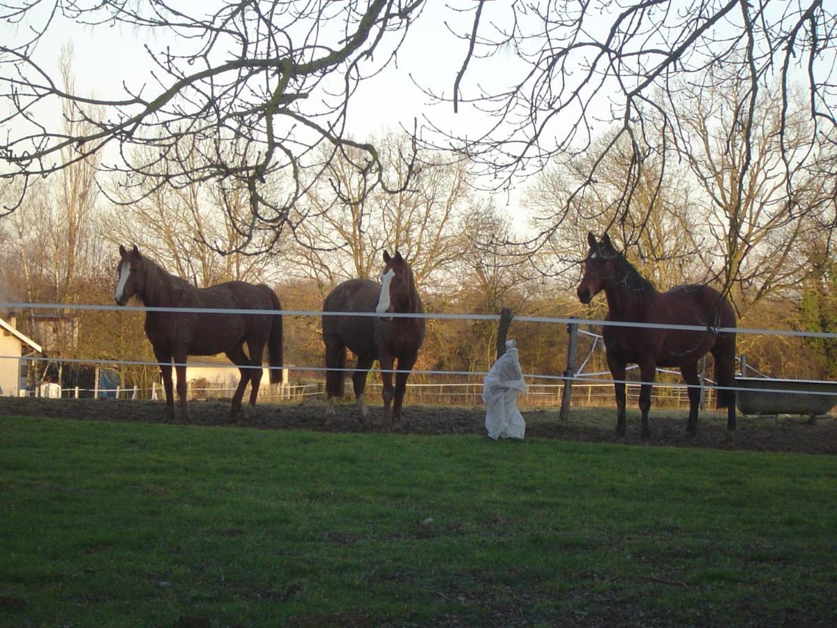 Saint-Trivier-sur-Moignans Ferme Passion Bed & Breakfast エクステリア 写真