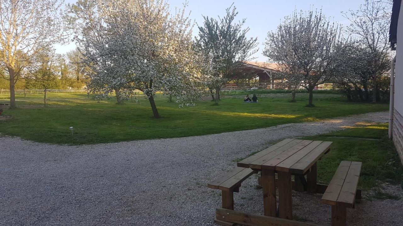 Saint-Trivier-sur-Moignans Ferme Passion Bed & Breakfast エクステリア 写真